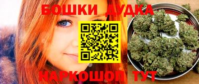 индика Гусиноозёрск