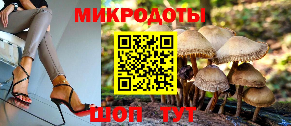 Псилоцибиновые грибы Cubensis  где продают   Вход с VPN  Димитровград  Галлюциногенные грибы Psilocybe 