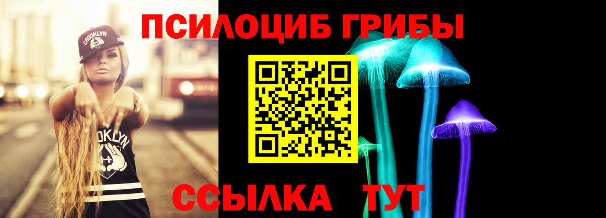 Галлюциногенные грибы мухоморы Димитровград